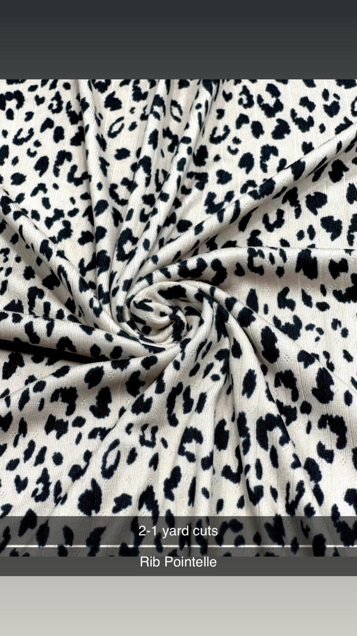 Cheetah- Pointelle